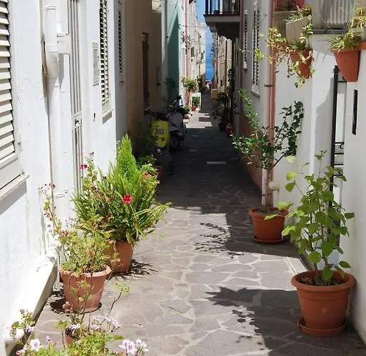 Apartman Baia Unci *